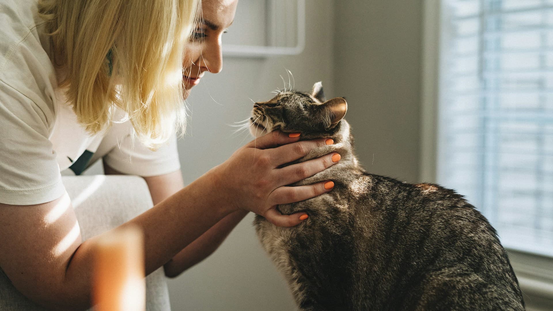 Clinici Veterinare